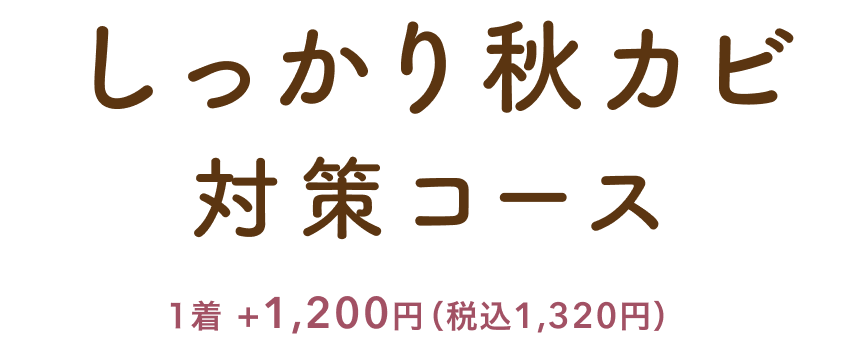しっかり秋カビ対策コース 1着＋1,200円（税込 1,320円）